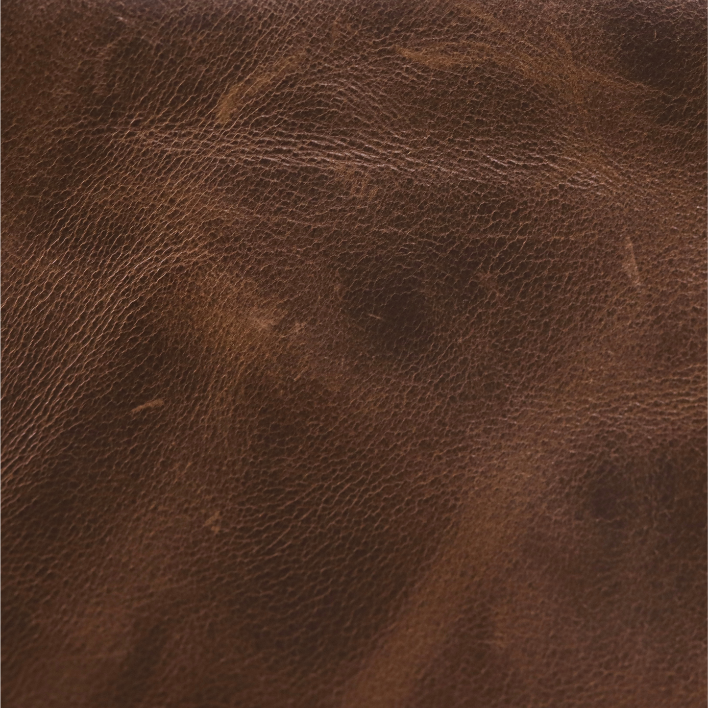 PAUL COLLAR - AGED BROWN
