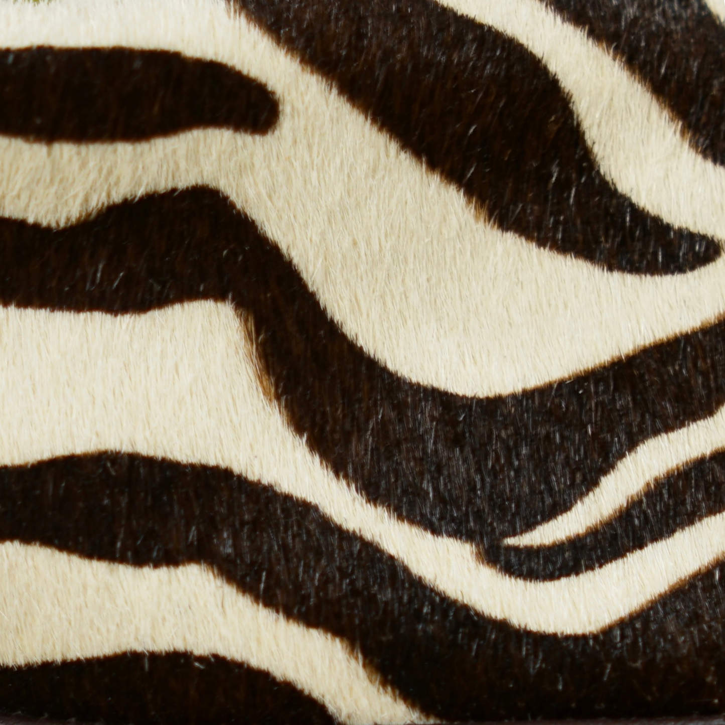 AUDLEY COLLAR - ZEBRA PRINT