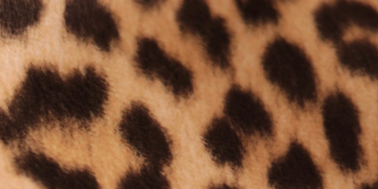 CINDY COLLAR - LEOPARD