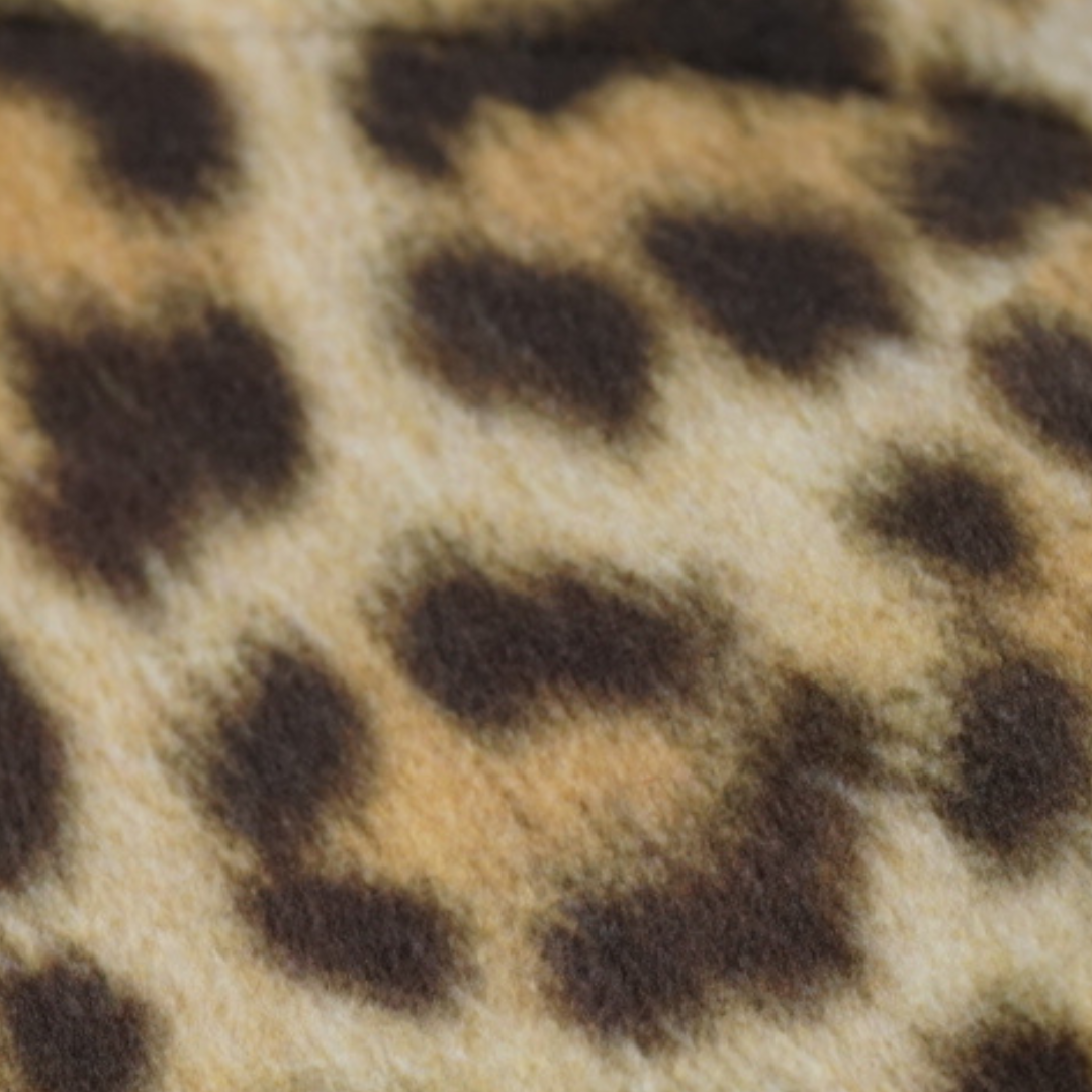 CINDY COLLAR - LEOPARD