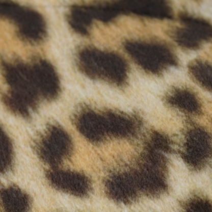 CINDY COLLAR - LEOPARD